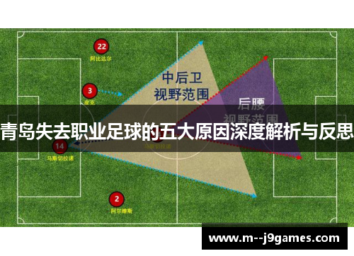 青岛失去职业足球的五大原因深度解析与反思