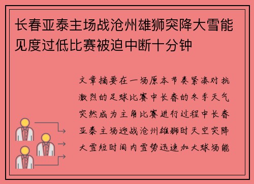 长春亚泰主场战沧州雄狮突降大雪能见度过低比赛被迫中断十分钟